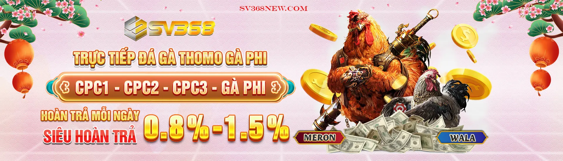 SV368 trực tiếp đá gà Thomo Gà Phi
